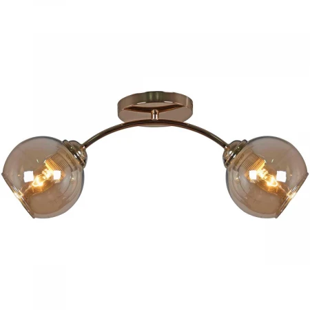 Потолочная люстра Reluce 01538-0.3-02 FGD