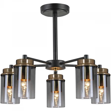 Потолочная люстра Reluce 74662-0.3-05