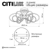 Потолочная светодиодная люстра Citilux Salma Smart CL224A162 Потолочная светодиодная люстра Citilux Salma Smart CL224A162