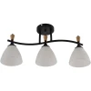 Люстра Reluce 01589-3.3-03B BK+WOOD Люстра Reluce 01589-3.3-03B BK+WOOD