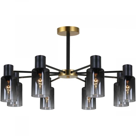 Потолочная люстра Reluce 74677-0.3-08