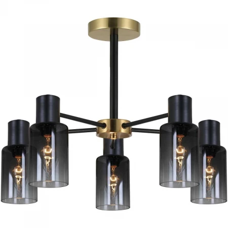 Потолочная люстра Reluce 74677-0.3-05