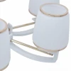 Подвесная люстра Arte Milano Florentia-2457 302457/8 Wh/Gd Подвесная люстра Arte Milano Florentia-2457 302457/8 Wh/Gd