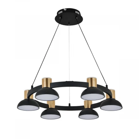 Подвесная светодиодная люстра Indigo Traforo 11059/6P Black V000182L