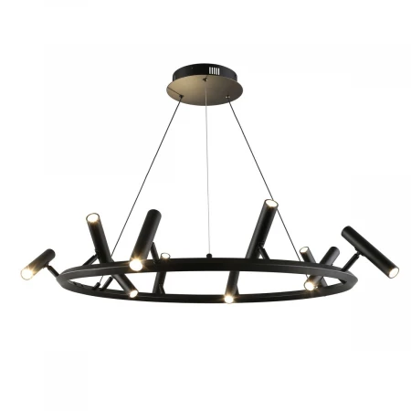 Подвесная светодиодная люстра Aployt Honor APL.067.03.50