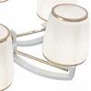 Подвесная люстра Arte Milano Florentia-2457 302457/6 Wh/Gd Подвесная люстра Arte Milano Florentia-2457 302457/6 Wh/Gd