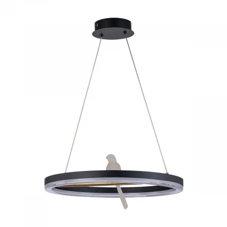 Подвесной светодиодный светильник F-Promo Bardy 4654-1P