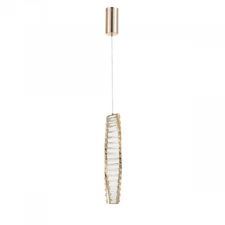 Подвесной светодиодный светильник Rivoli Madalina 6165-201 Б0066414