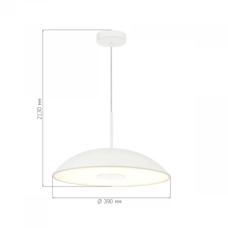 Подвесной светильник ST LUCE SL6128.503.01