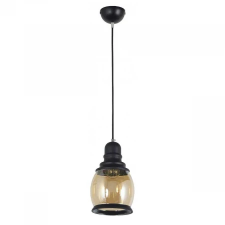 Подвесной светильник Arti Lampadari Organo E 1.3.P1 B