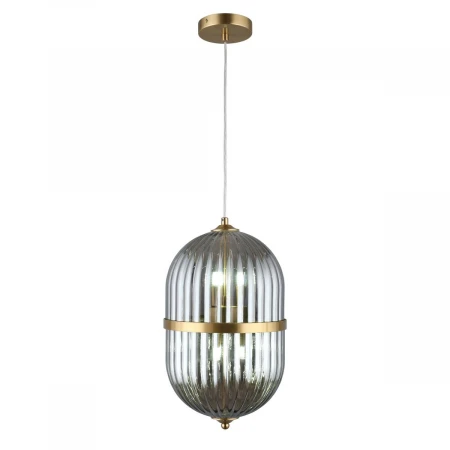 Подвесной светильник Aployt Ludovica APL.860.06.06