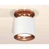 Комплект накладного светильника Ambrella light Techno Spot XS7401142 SWH/PPG белый песок/золото розовое полированное (N7930, C7401, N7015) Комплект накладного светильника Ambrella light Techno Spot XS7401142 SWH/PPG белый песок/золото розовое полированное (N7930, C7401, N7015)