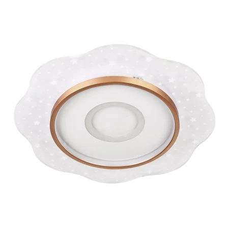 Потолочный cветильник LED4U L1028-500 WH-GD