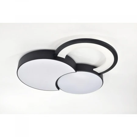 Потолочный светодиодный светильник Rivoli Aliona 6161-702 Б0066452