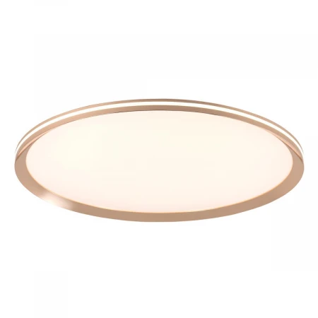 Потолочный cветильник LED4U L3020-600 GD