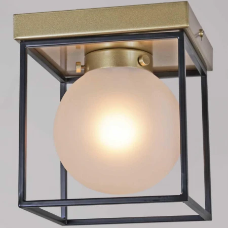 Потолочный светильник ILLUMICO IL0050-1C-79