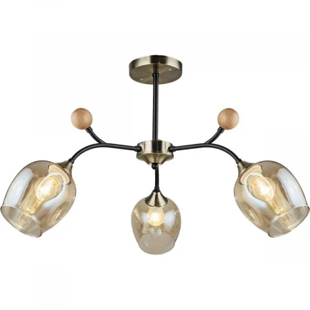 Потолочный светильник Reluce 02009-0.3-03 AB+BK