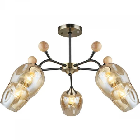 Потолочный светильник Reluce 02009-0.3-05 AB+BK