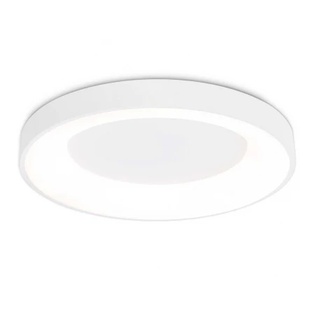 Потолочный светодиодный светильник Ambrella light Orbital Design FZ1401