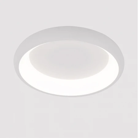 Потолочный светодиодный светильник Arte Lamp Menkib A2694PL-45WH