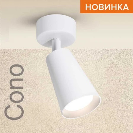 Потолочный светильник WOLTA WSL-GU10/S11W