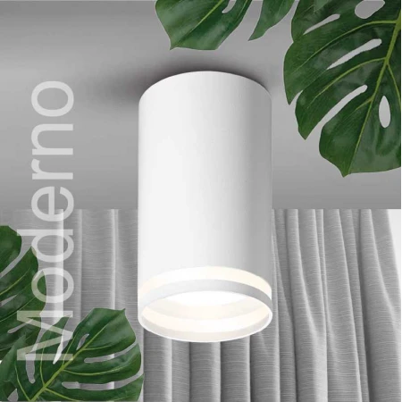 Потолочный светильник WOLTA WSL-GU10/02W