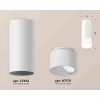 Комплект накладного светильника Ambrella light Techno Spot XS7442016 SWH/FR белый песок/белый матовый (C7442, N7170) Комплект накладного светильника Ambrella light Techno Spot XS7442016 SWH/FR белый песок/белый матовый (C7442, N7170)
