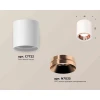 Комплект накладного светильника Ambrella light Techno Spot XS7722005 SWH/PPG белый песок/золото розовое полированное (C7722, N7035) Комплект накладного светильника Ambrella light Techno Spot XS7722005 SWH/PPG белый песок/золото розовое полированное (C7722, N7035)