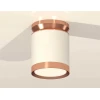 Комплект накладного светильника Ambrella light Techno Spot XS (N8912, C8141, N8126) XS8141035
