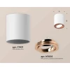 Комплект накладного светильника Ambrella light Techno Spot XS7421004 SWH/PPG белый песок/золото розовое полированное (C7421, N7005) Комплект накладного светильника Ambrella light Techno Spot XS7421004 SWH/PPG белый песок/золото розовое полированное (C7421, N7005)