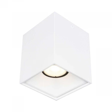 Накладной светильник ST LUCE ST168.502.01