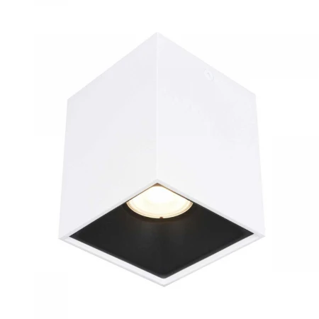 Накладной светильник ST LUCE ST168.542.01