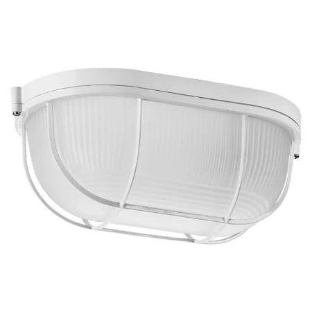 Накладной светильник WOLTA ДПБ04-100-002