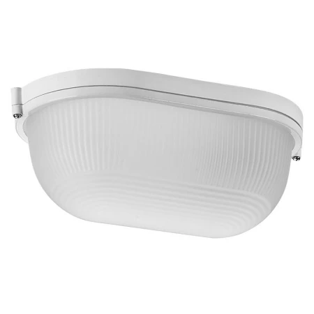 Накладной светильник WOLTA ДПБ04-100-001