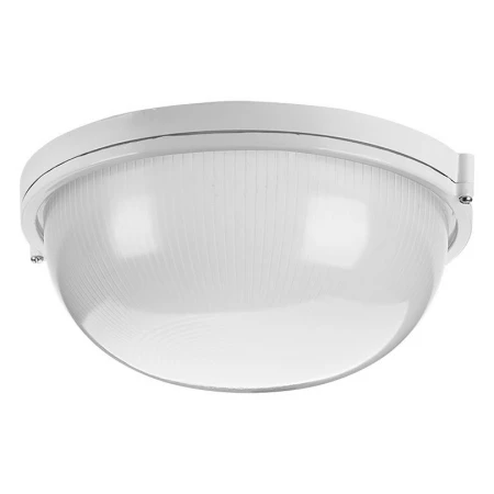 Накладной светильник WOLTA ДПБ03-60-001