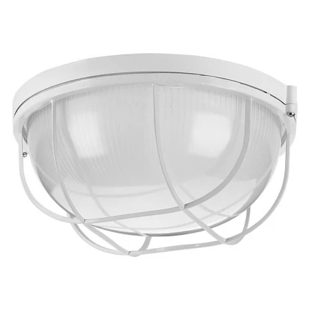 Накладной светильник WOLTA ДПБ03-100-002