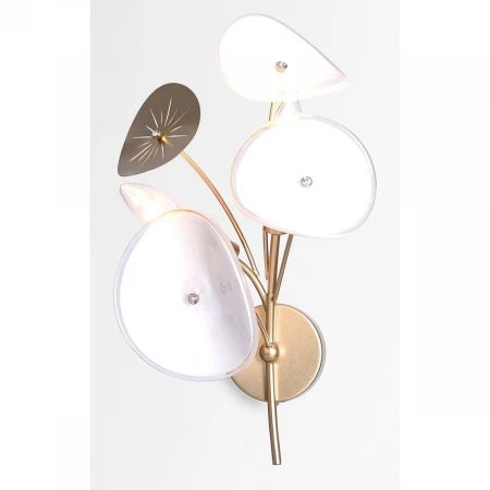 Бра Rivoli Albertina 4124-402 Б0068090