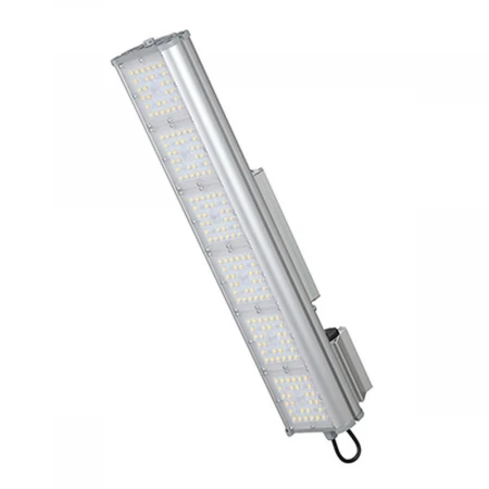 Прожектор СВЕТОН Галеон 61-135-Г-60-ПТ/0/0-5К80-К67 CB-C0325044