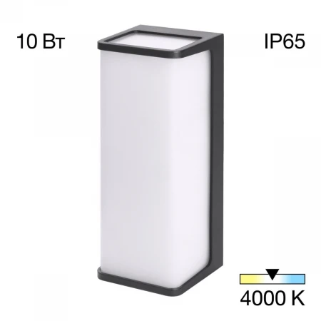 Уличный настенный светодиодный светильник Citilux Domus CLU0802