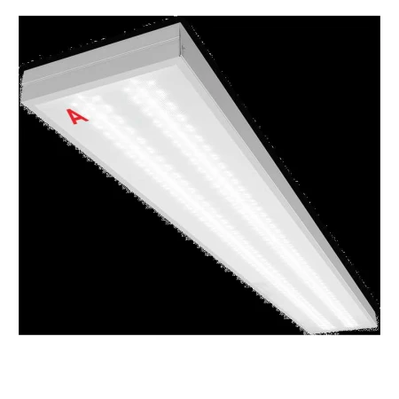 Потолочный светильник WOLTA STD ДПО11-36-142-6К