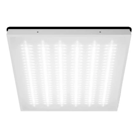 Потолочный светильник WOLTA STD ДВО13-54-002-6К