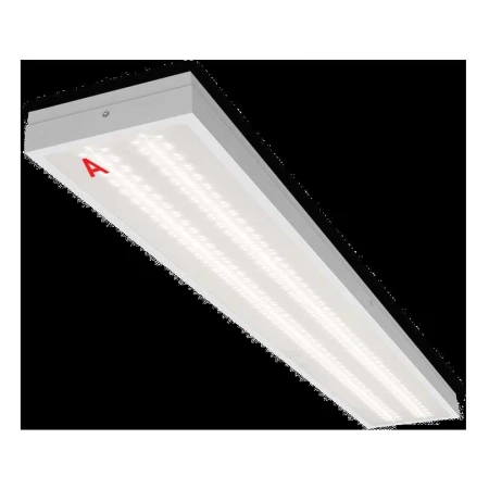 Потолочный светильник WOLTA STD ДПО13-36-142-4К