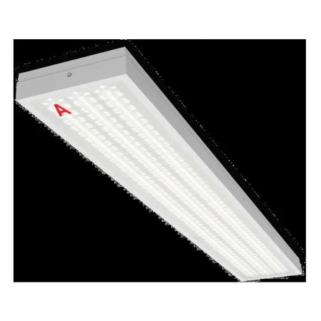 Потолочный светильник WOLTA STD ДПО13-54-142-5К