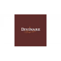 Divinare