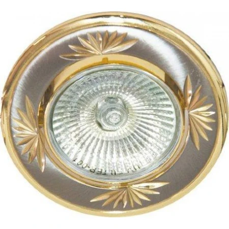 17899 246dl  титан-золото