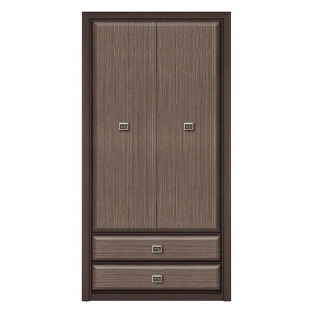 Шкаф платяной Коен REG2D2S