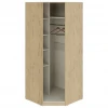 Шкаф платяной Николь СМ-295.07.006