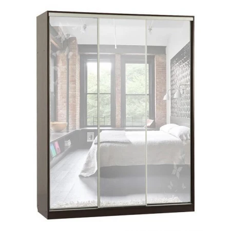 Шкаф-купе Бассо 4-600 бабочки