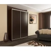 Шкаф-купе Рио 5-600