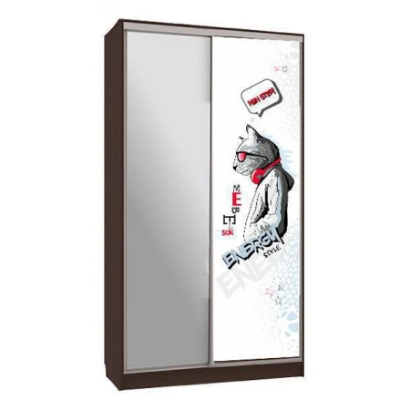 Шкаф-купе Рио 9-600 Энерджи